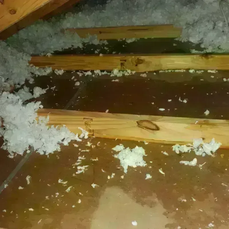 Attic Water Damage in Wentworth, NC