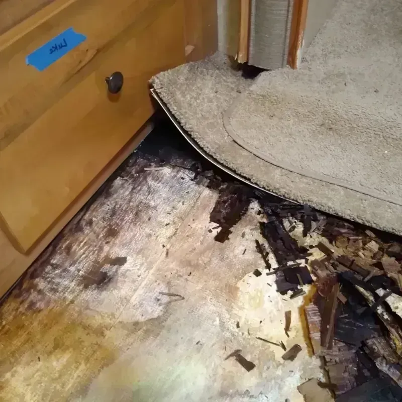 Wood Floor Water Damage in Wentworth, NC